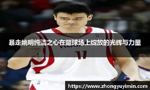 暴走姚明纯洁之心在篮球场上绽放的光辉与力量